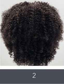 SLEEK ALISON WIG FASHION SYNTHETIC WIG
