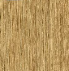 The Feme Collection 100G - 100% BRAZILIAN HUMAN HAIR WEFT Pre-Coloured