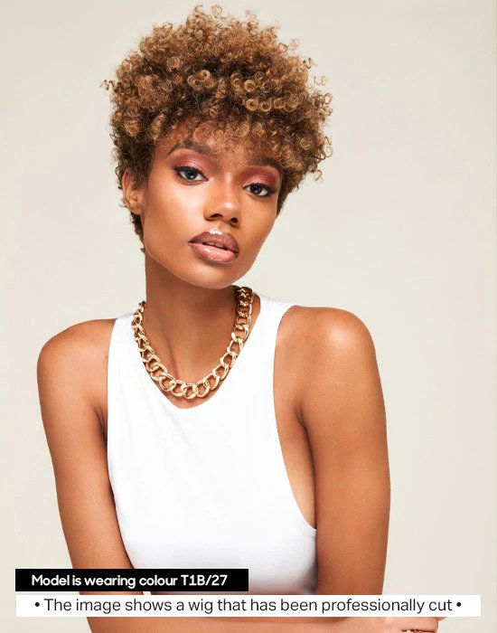 Feme Soft Natural Curl Afro Lace Wig