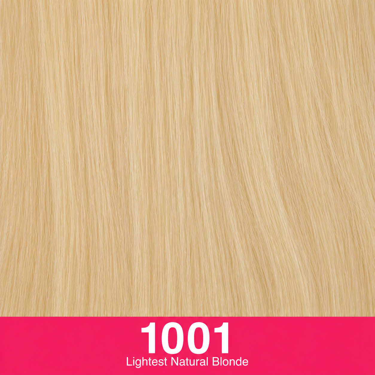 ECHO European Weft Hair Extensions | Long Lengths 20–26 Inch