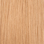 Angel Remy 14