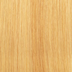 Angel Remy 16/60