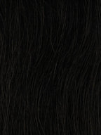 ECHO CLIP IN EUROPEAN WEFT 20 inch  & 22 inch