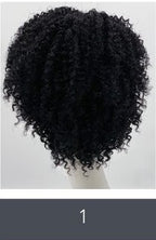 SLEEK ALISON WIG FASHION  SYNTHETIC WIG