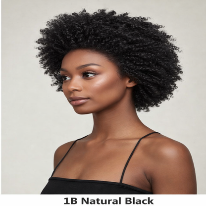 Feme Afro Lace Wig - Loose Twist Out