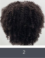 SLEEK ALISON WIG FASHION  SYNTHETIC WIG