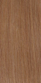 RG27A