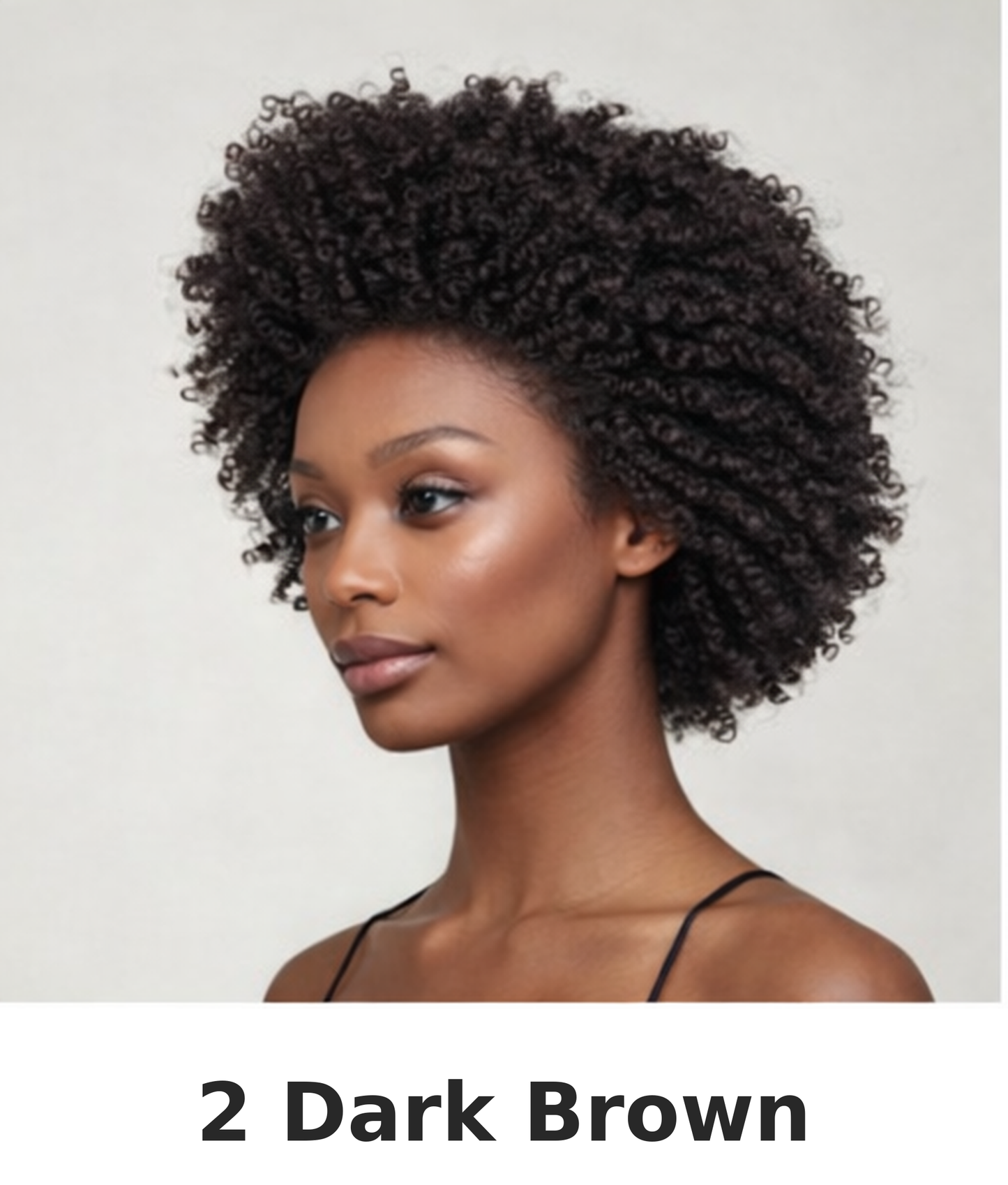 Feme Afro Lace Wig - Loose Twist Out