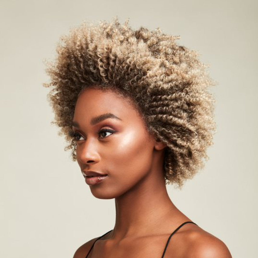 Feme Afro Lace Wig - Loose Twist Out
