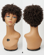 Feme Afro Lace Wig - Soft Natural Curl