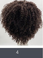 SLEEK ALISON WIG FASHION  SYNTHETIC WIG