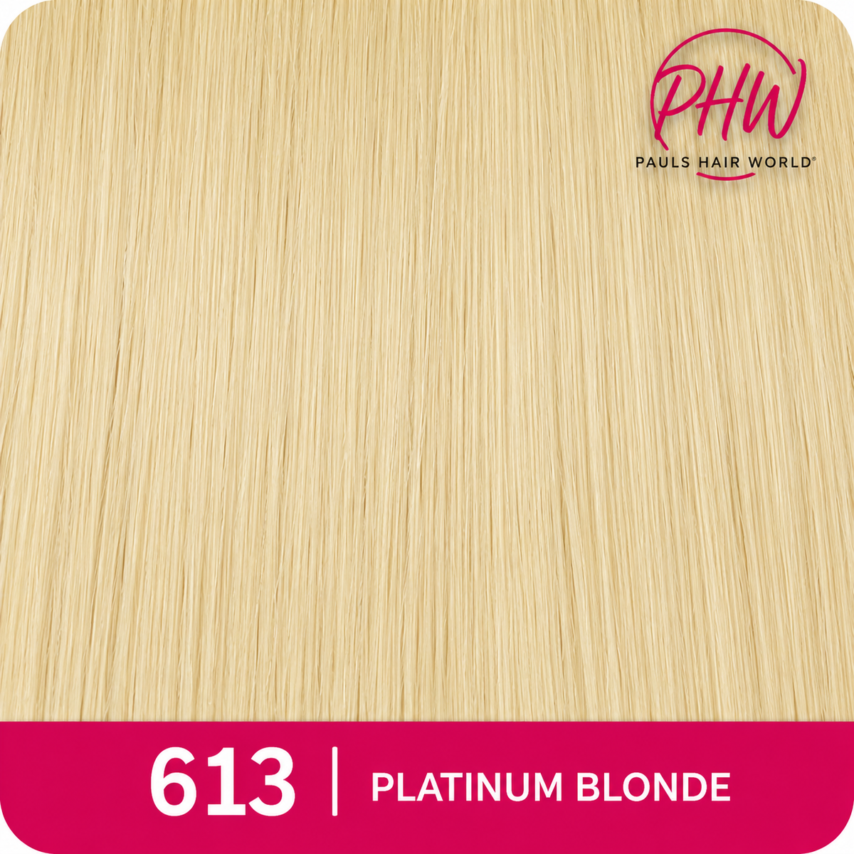 Echo Clip-In European Human Hair Extensions 105g 16", 18", 20" & 22"