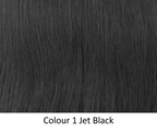 ECHO EUROPEAN WEFT:  16" & 18"