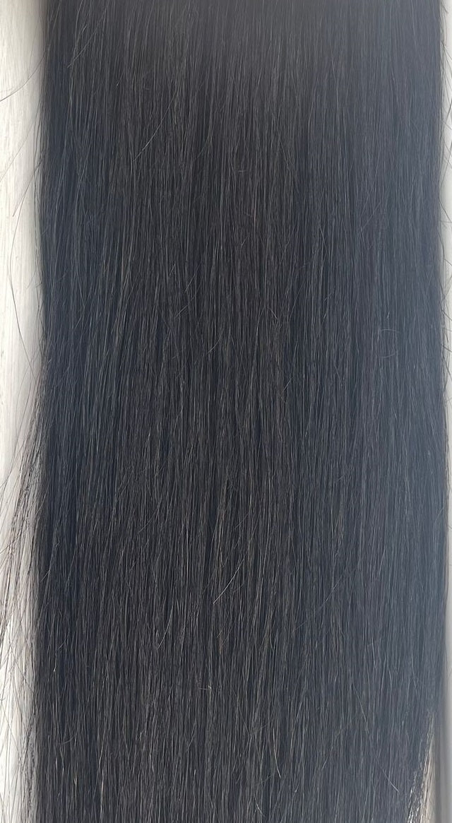 Echo Signature Collection 100% Unprocessed Remy Brazilian Blow out Straight Weave