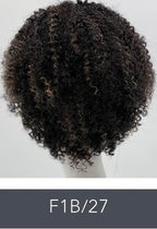 SLEEK ALISON WIG FASHION  SYNTHETIC WIG