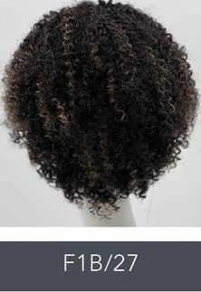 SLEEK ALISON WIG FASHION  SYNTHETIC WIG