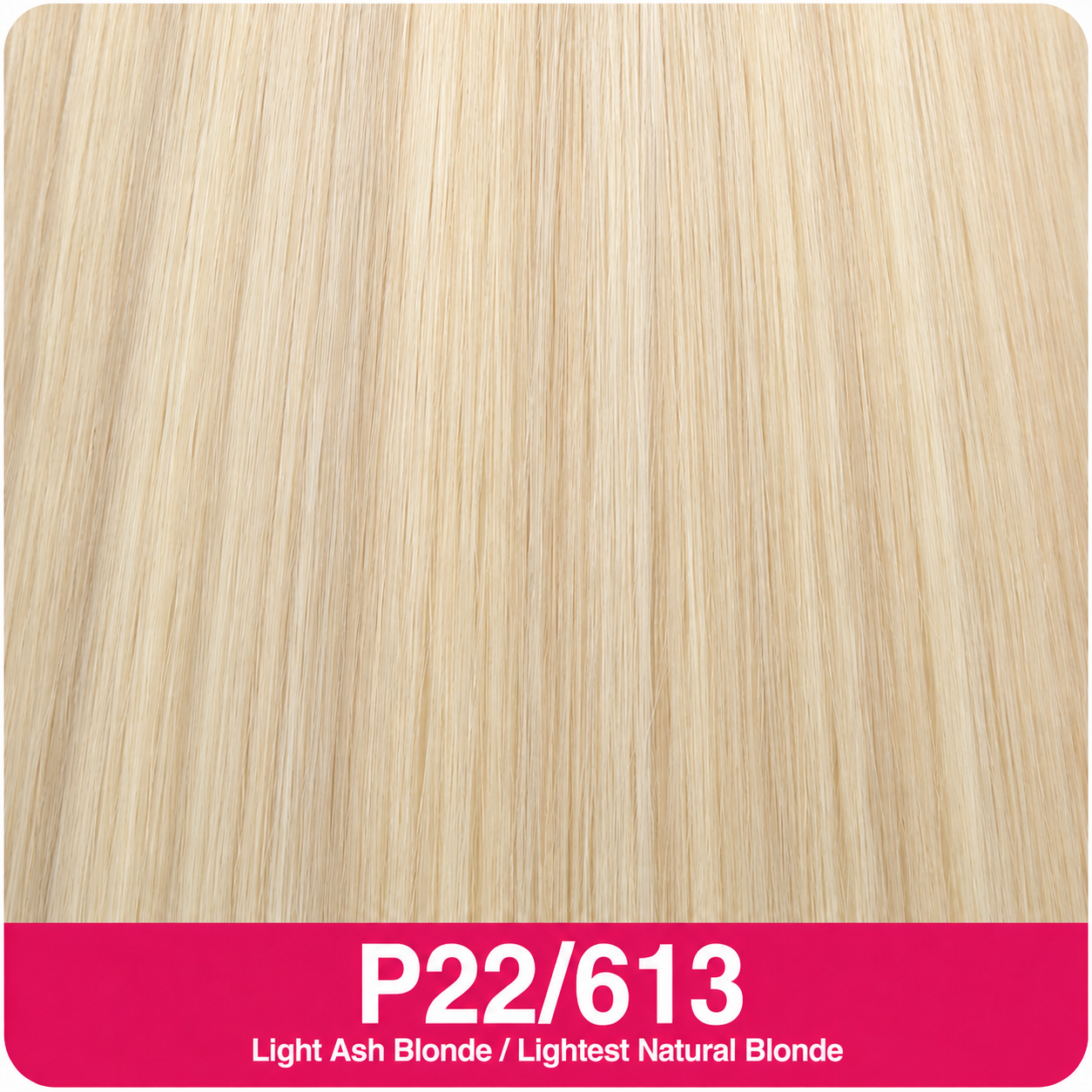 ECHO European Weft Hair Extensions | Long Lengths 20–26 Inch