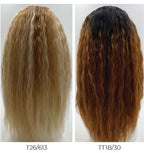 SLEEK SPOTLIGHT "GRACE" HUMAN HAIR  100% LACE FRONT WIG