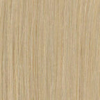 ADC23