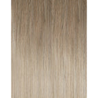 BW Bergen Blonde