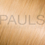 Universal FrostyBlonde