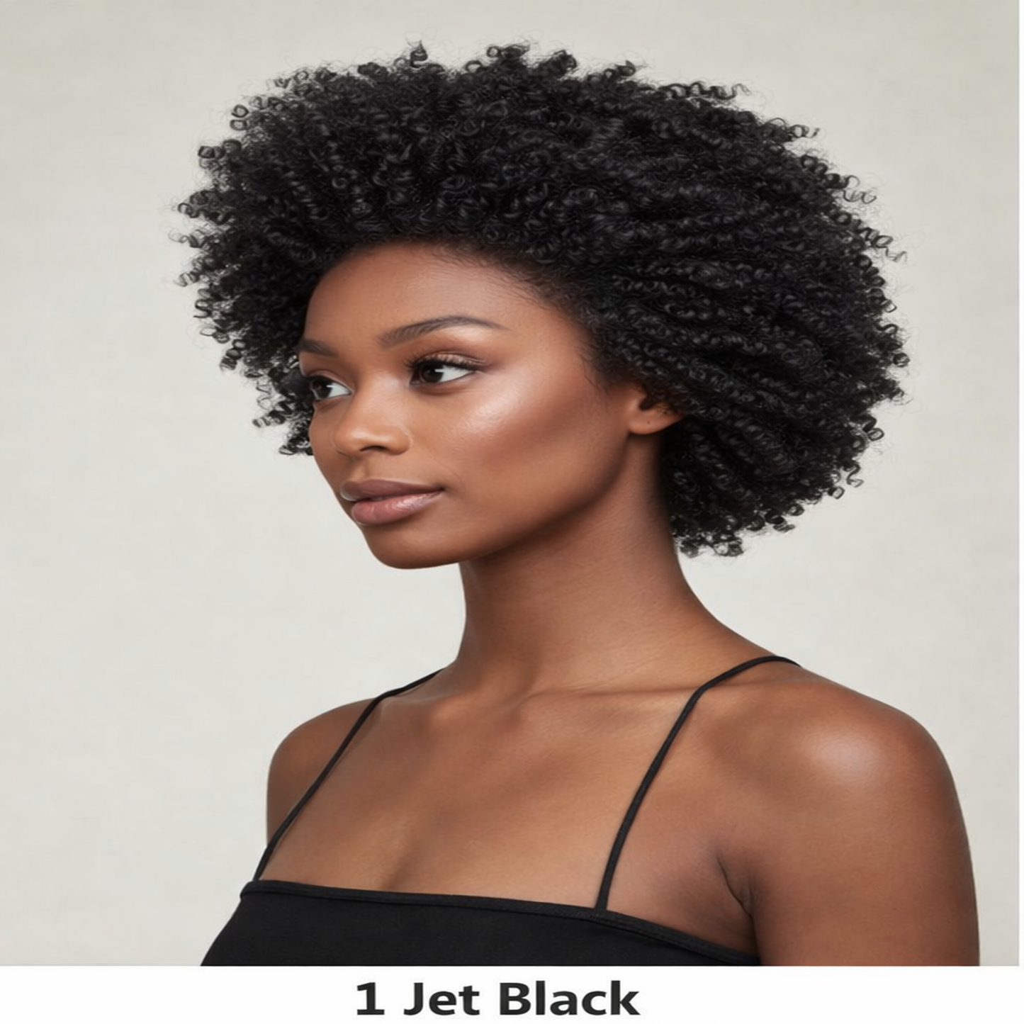 Feme Afro Lace Wig - Loose Twist Out