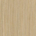 ADC23