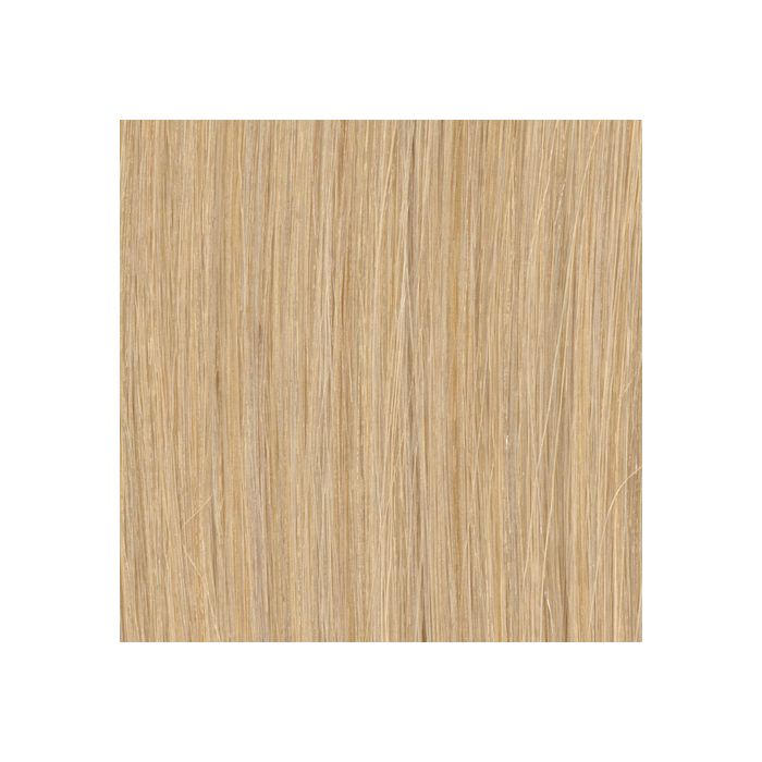 Loop Fringe 24